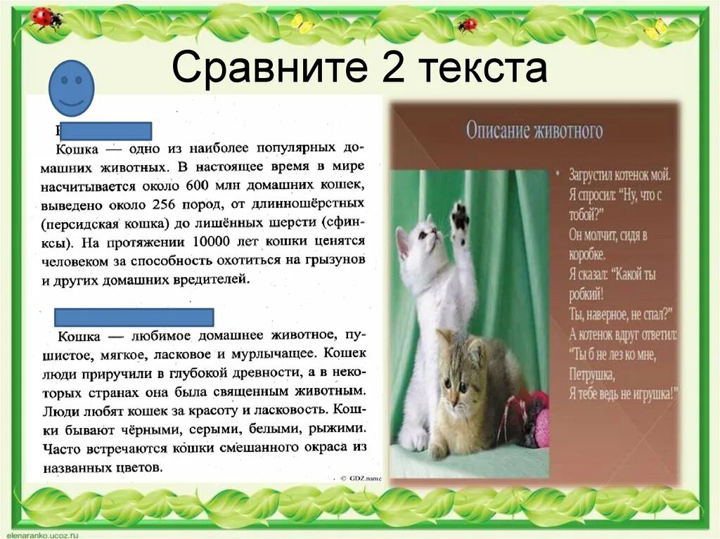 Сочинение про любимого животного 5 класс. Сочинение про животных. Описать домашних питомцев. Сочинение про домашнего питомца. Сочинение описание животных.