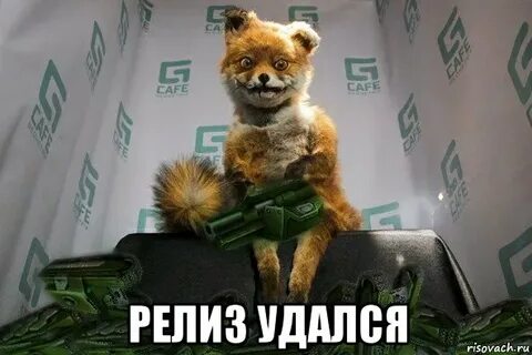 Самые новые релизы