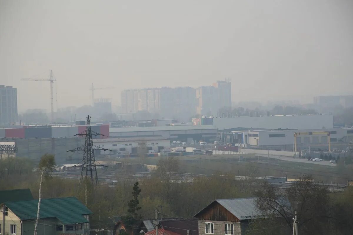 Смог в Новосибирске. Загрязнение воздуха в Новосибирске. Новосибирск летний смог. Смог в Новосибирске фото. В воздухе запах гари