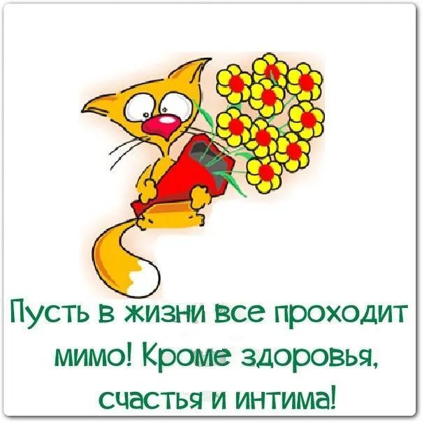 Пусть проходят мимо. Пусть в жизни все проходит мимо. пусть в жизни все проходит мимо кроме денег и. пусть все проходит мимо кроме здоровья. пусть в жизни все проходит мимо кроме здоровья денег и интима.