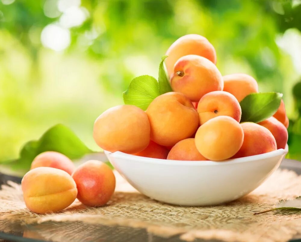 Apricots findlay