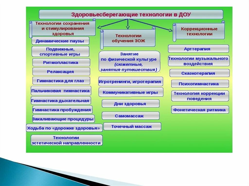 Процесс сохранения и организации опыта