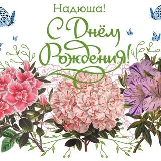 С днем рождения надюша открытки поздравлениями