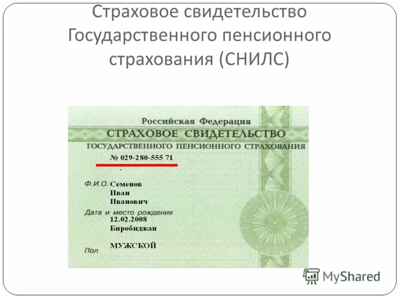 Пенсионное страхование рб. СНИЛС. Номер СНИЛС. СНИЛС государственного пенсионного страхования. Страховой номер индивидуального лицевого счёта.