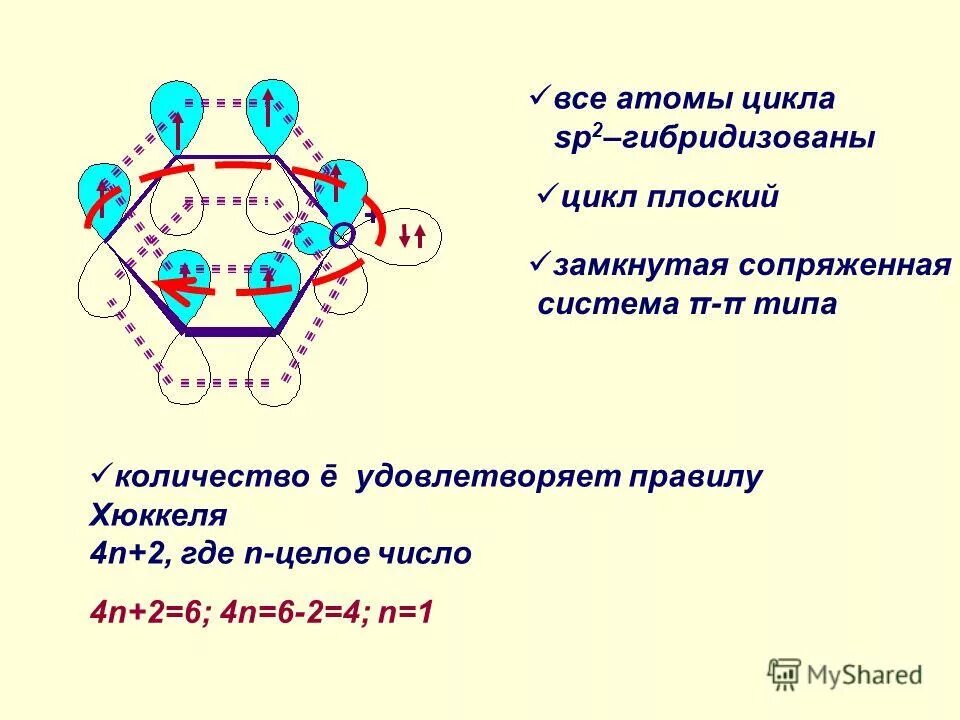 циклы развития плоских червей биология 7 класс. паразитические черви цикл развития печеночного сосальщика. жизненные циклы плоских червей биология 7 класс. цикл развития паразитических червей печеночный сосальщик. жизненный цикл плоского червя 7 класс.