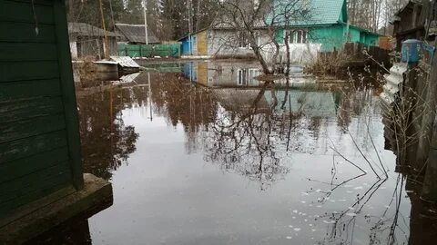 Погода песь