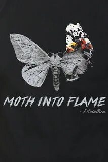 Moth to a flame