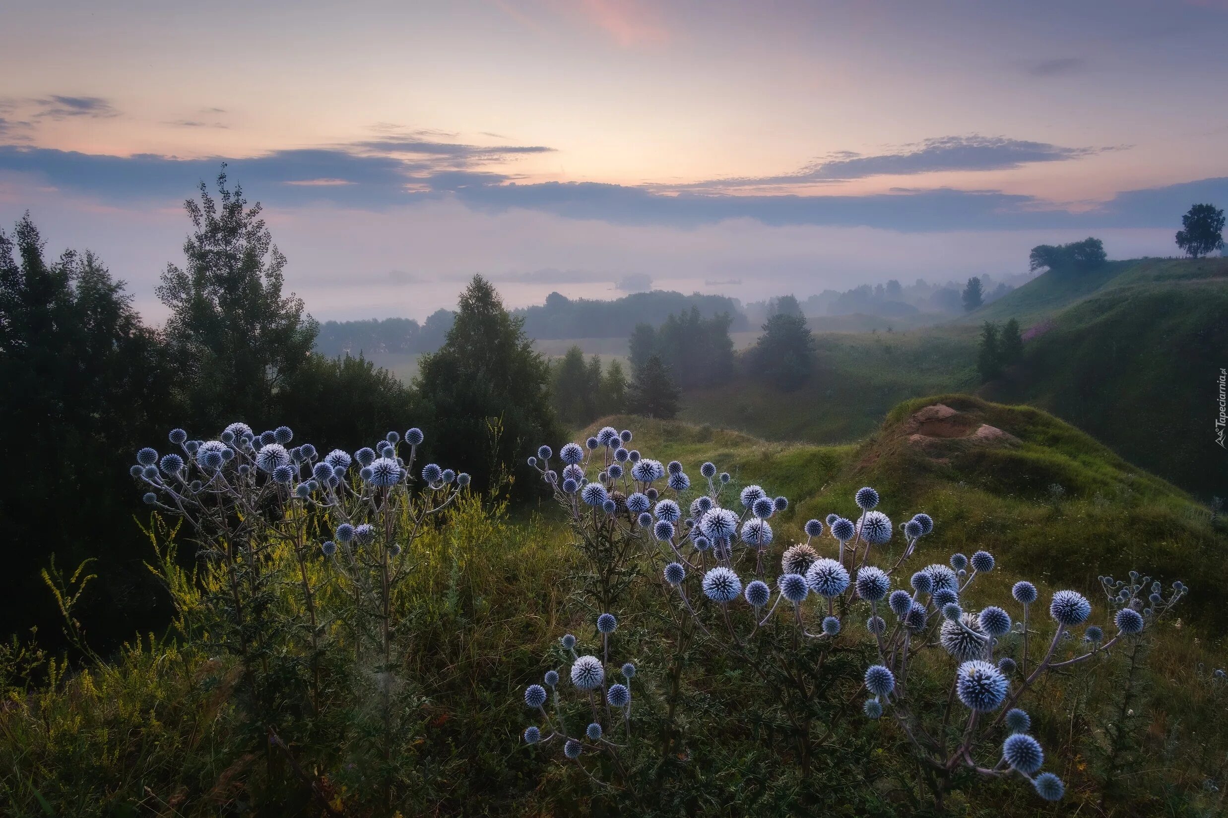 Россия в фотографиях русское географическое. Удивительная природа. Пейзажи Рязанской области. Природа РГО. Фотоконкурс природа России.