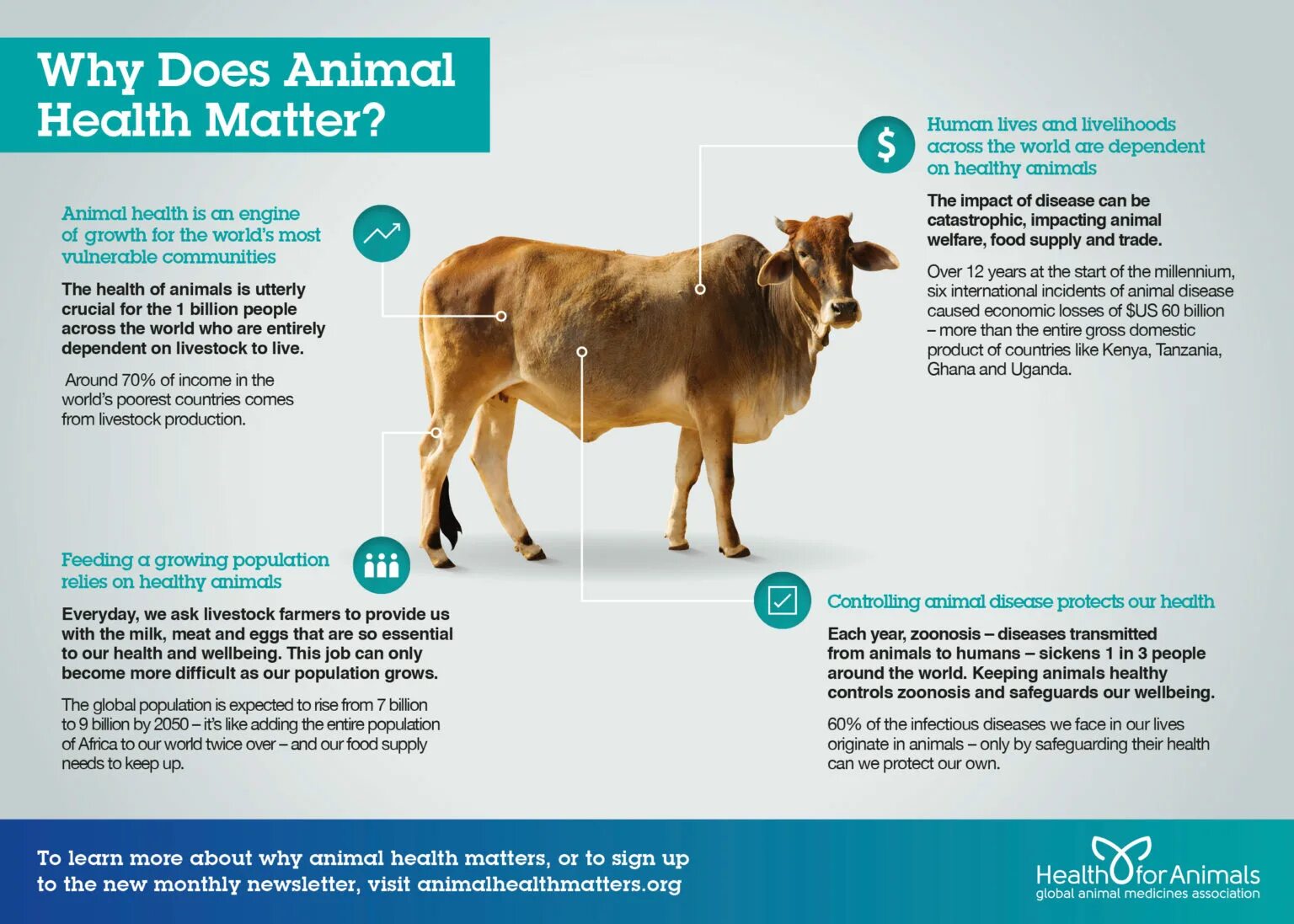 Четыре собаки. Щенок мальчик. Humans and animals are conscious. Несколько собак. Человек с собакой на море.
