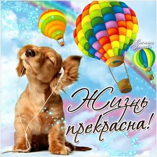 И поэтому улыбайся