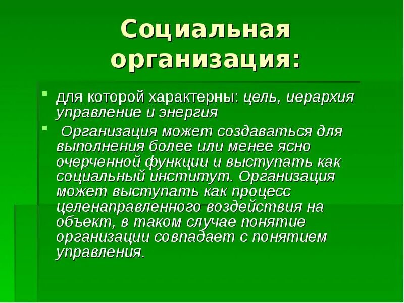 Социальная организация. Социальное предприятие презентация. Для цели характерно. Для социального ститут в характерны.