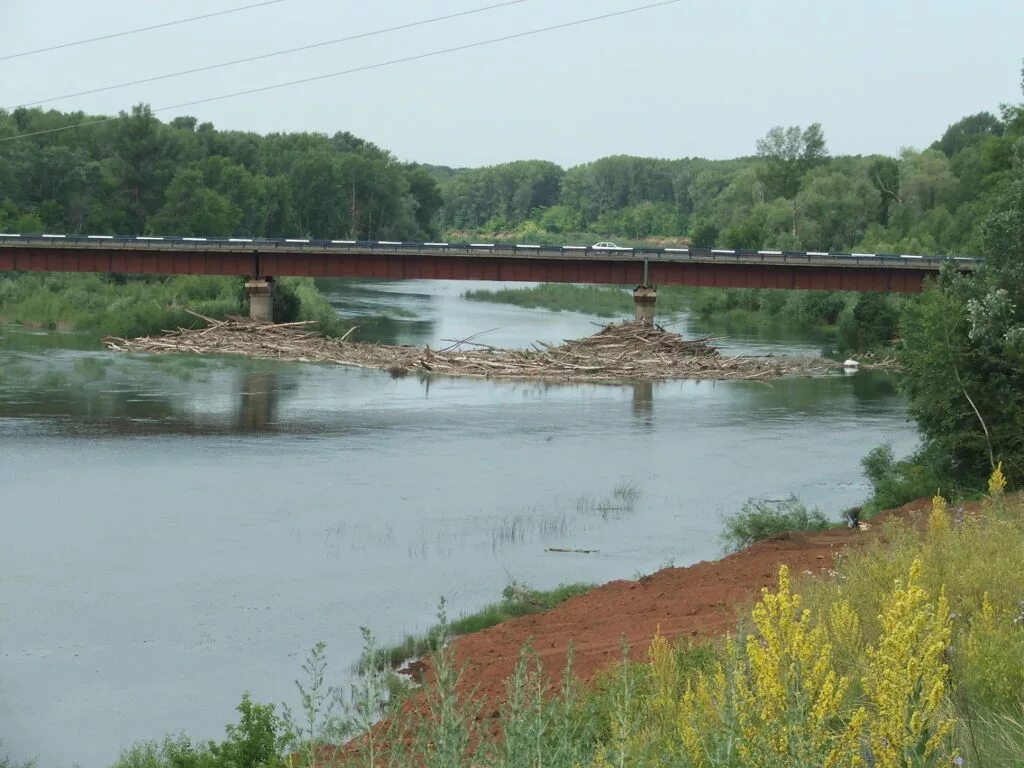 Уровень сакмары на данный момент в оренбурге. Саракташ река сакмара. река сакмара оренбург. исток сакмары. мост сакмара оренбург.