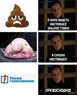 Голосование мем