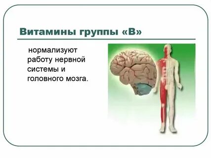 Как нормализовать нервную