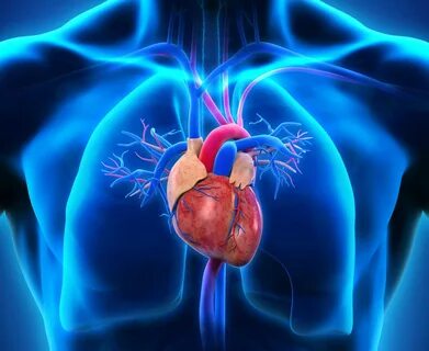 Men s heart