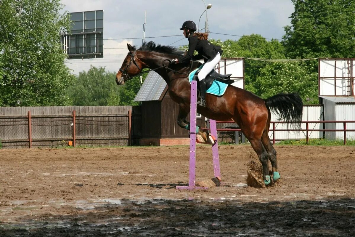 Конный коуб. Обнинск конюшня кривское. Оствинд конюшня. Конный коуб. Конный коуб.
