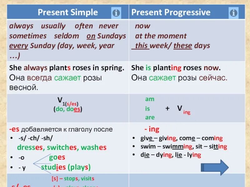 Always often usually sometimes seldom never. Предложения в present simple с usually. презент симпл always. usually present simple. always present simple.