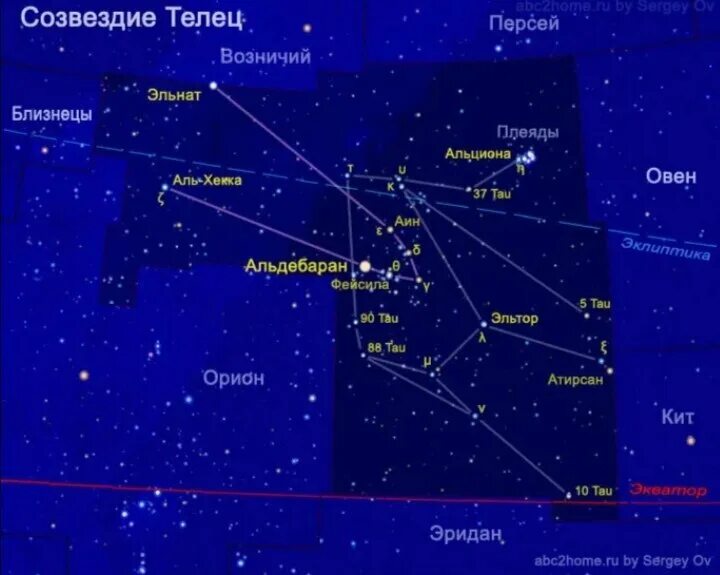 Созвездие альдебаран находится в созвездии. Созвездие Плеяды на карте звездного неба. Альциона звезда в созвездии тельца. Таурус Созвездие. Схема основных звёзд созвездия Телец.