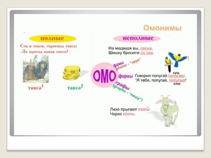 Барашки омонимы значение. Омонимы задания. такса омоним. неполные омонимы. омонимы картинки.