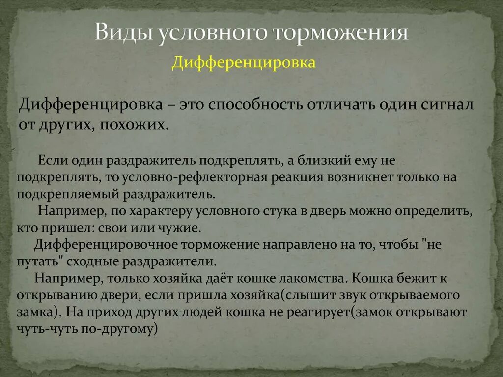 Навыки рефлекс. Виды условного торможения. Виды торможения рефлексов. Дифференцировка условного рефлекса. Дифференцировка вид торможения.