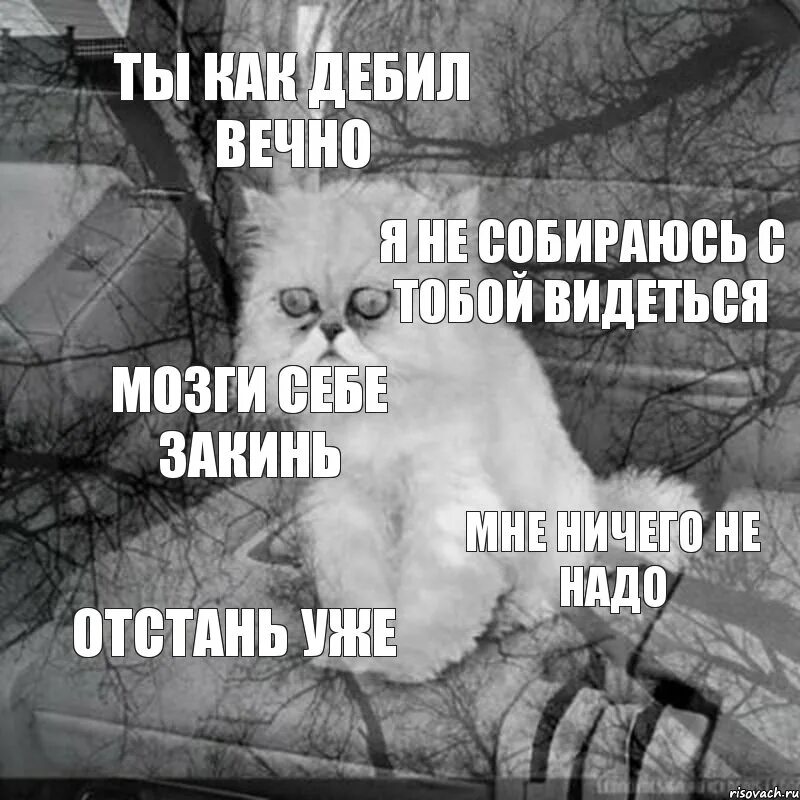 Кота засосало в пылесос. Кот безысходность. Кот безысходность Мем. Пылесос засасывает. Не надо на телефон ничего