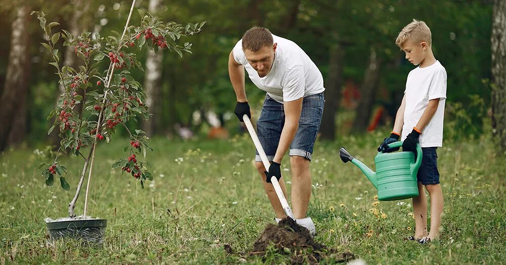 Как посадить дерево в пабге