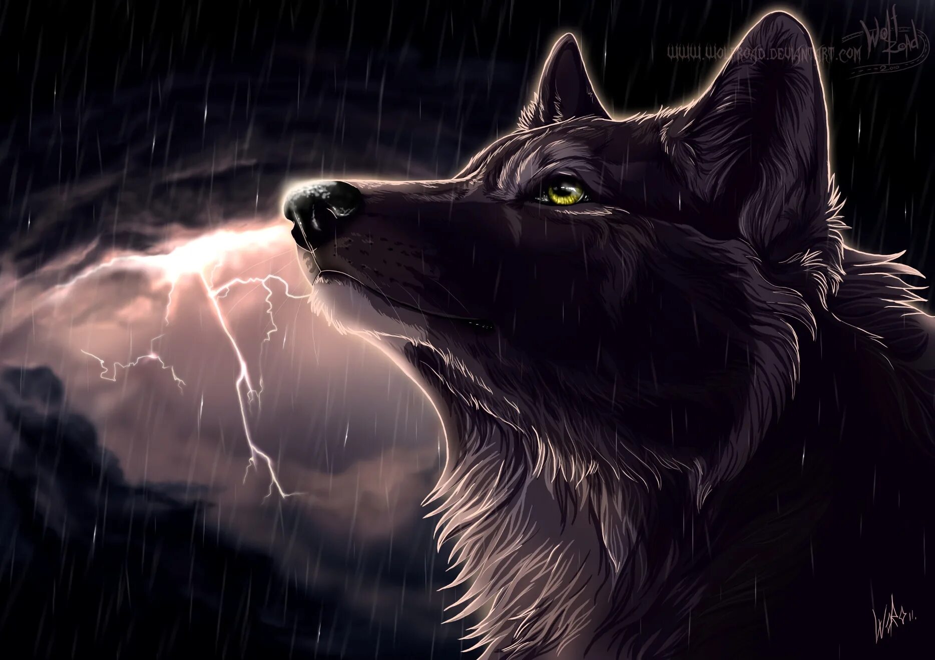 He wolf