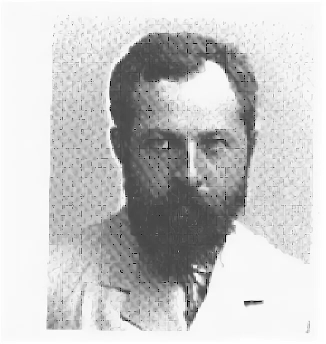 Д зернов. Д н зернов.