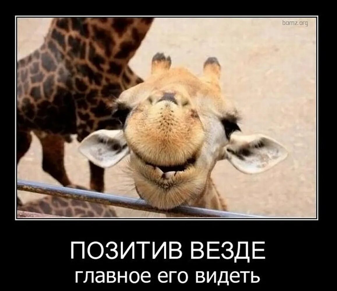Я позитивом заражен