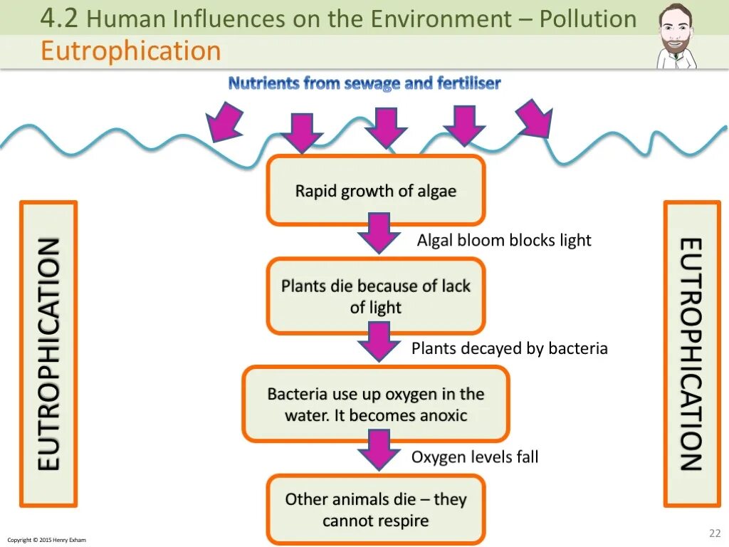 Human Impact on the environment. Environmental influences on Human. Environment influence. Humans and the environment.