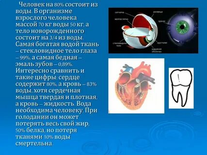 Вода в тканях тела 4