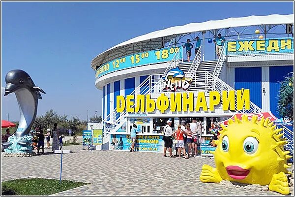 Дельфинарий немо феодосия. Мирамар феодосия. Океанариум немо анапа. Золотой пляж, феодосия, керченское шоссе, 74. Немо керченское ш 9а феодосия фото.