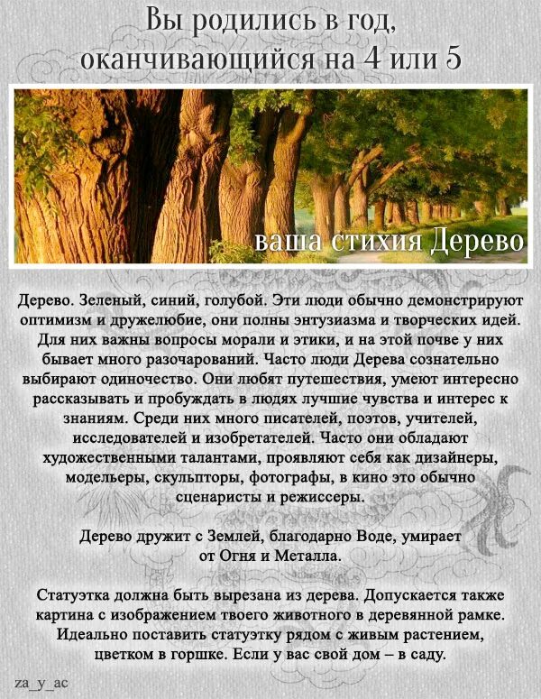 картинки стихий. элементы природы. священный ясень иггдрасиль. стихия дерево года. стихия дерево года.