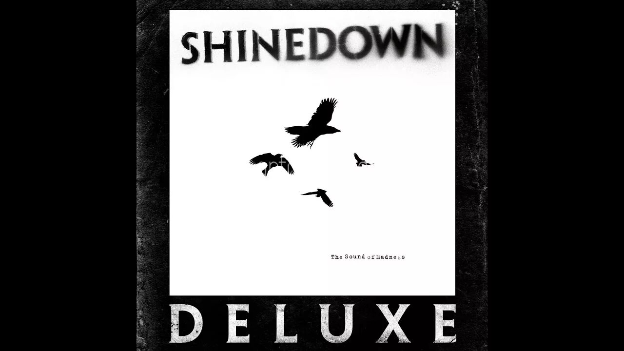 Shinedown her name. Shinedown sound of madness. shinedown 2008. shinedown обложка. sound of madness shinedown обложка.