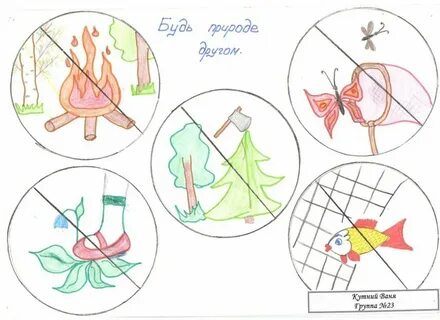 Картинки знаки поведения в природе