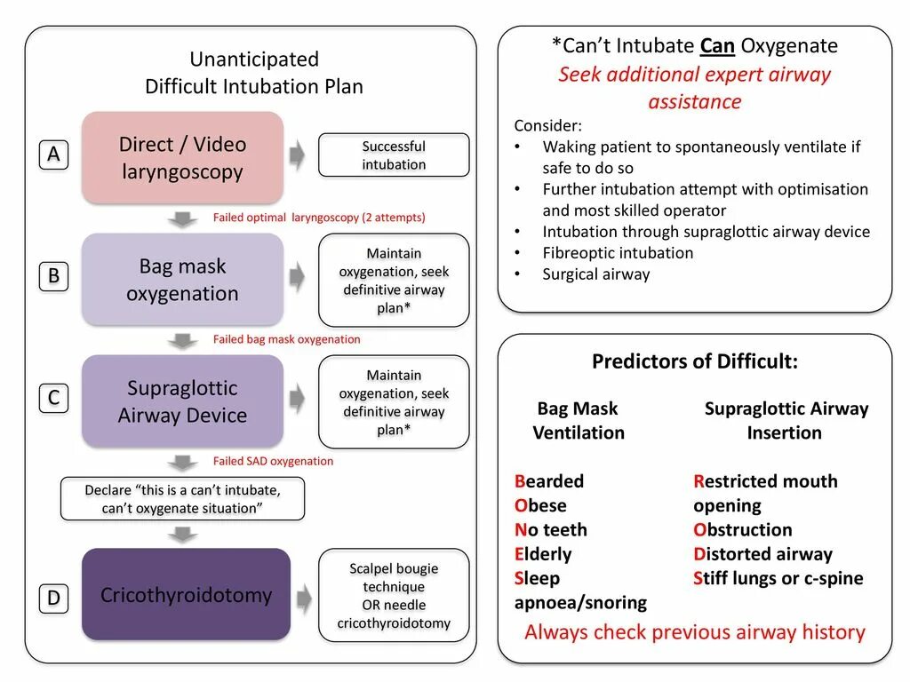 Difficult сравнение. Supraglottic device Ventilation device. Difficult Intubation Passport. Методом insure (intubate-surfactantextubate)..