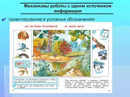 Ориентирами называются