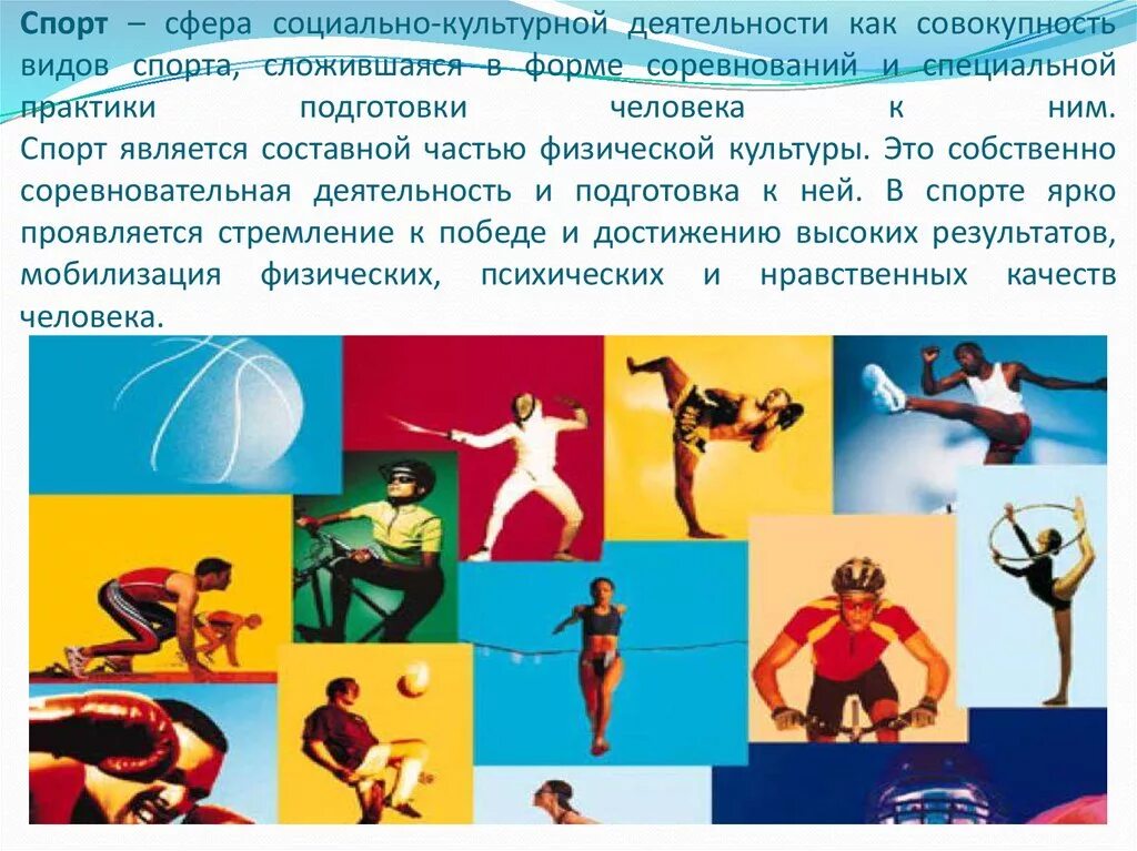 Физическая культура. Виды спорта. Физическая культура и спорт. Социальные функции физкультуры и спорта.
