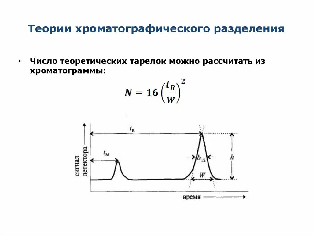 Теория хроматографии. Количество теоретических тарелок хроматография. теория хроматографического разделения. основы теории хроматографического разделения. теоретические основы хроматографического разделения..