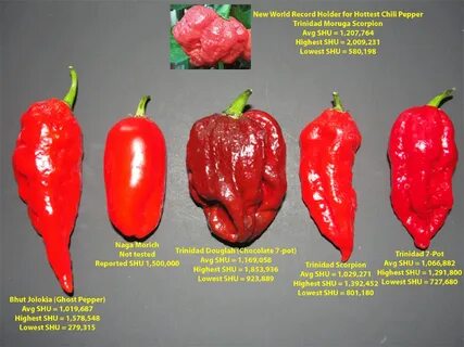 Peppers lana