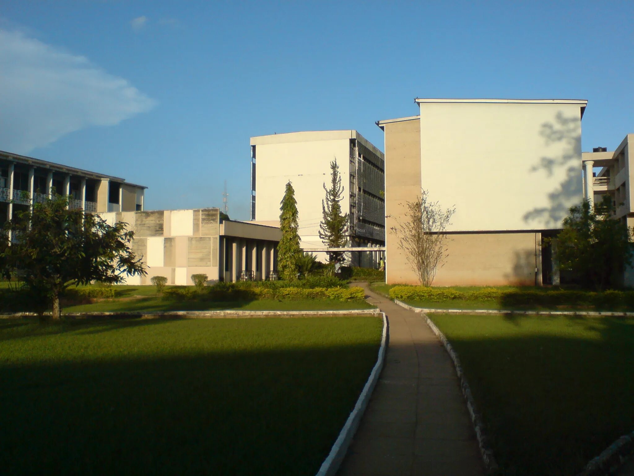 Art science university