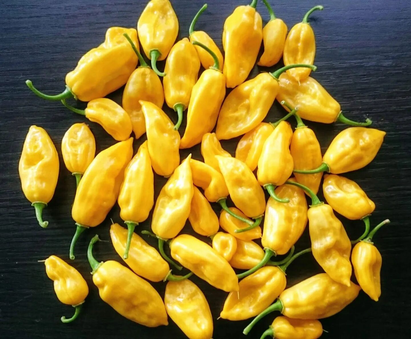 Lemon pepper. Лемон дроп перец. Бхут Джолокия желтая. Naga Lemon перец. Острый перец Yellow Naga.