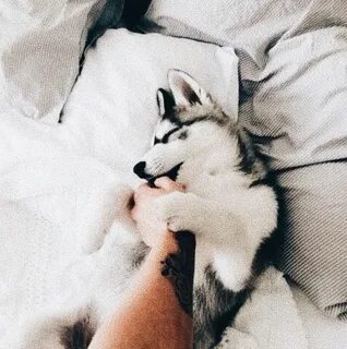 That morning