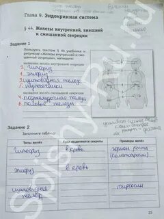 Биология 8 класс драгомилов параграф 2
