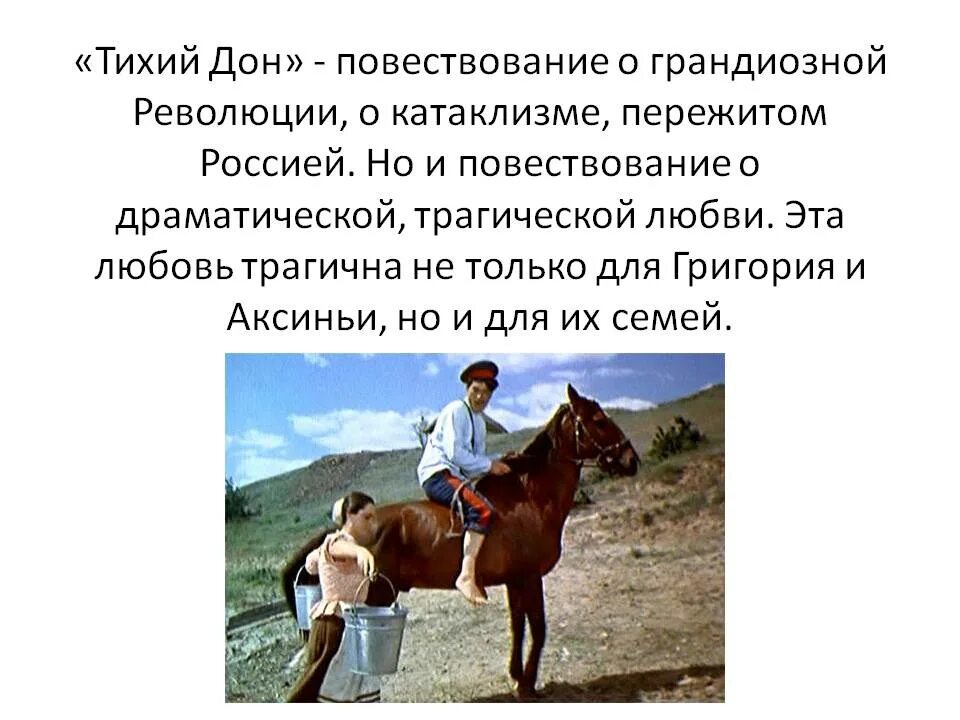 Своеобразие тихого дона