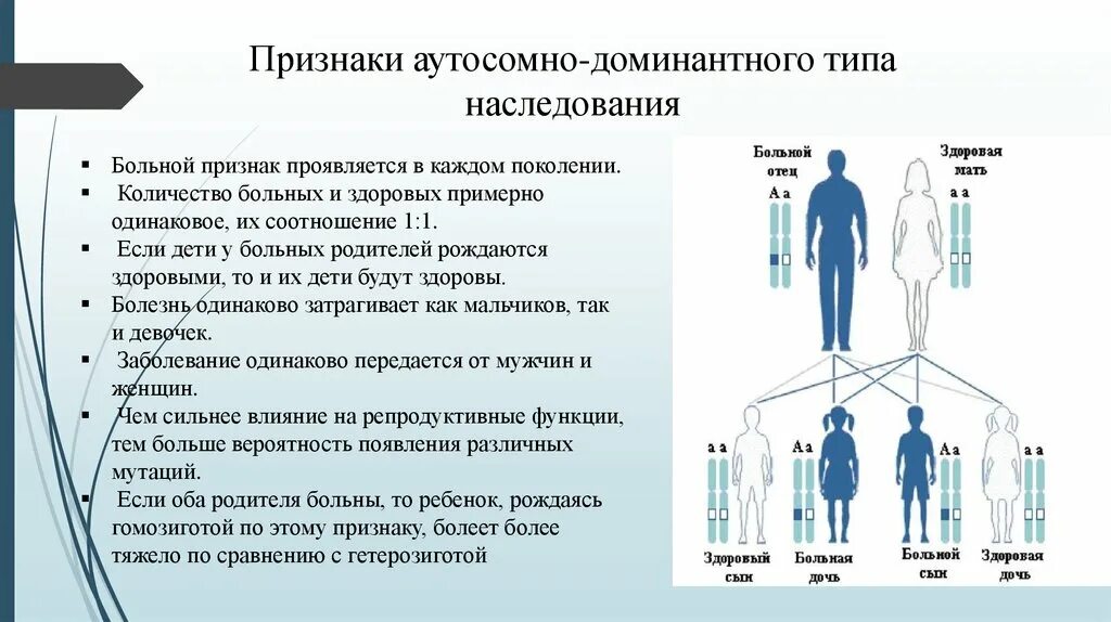 Дигетерозиготная по генам дальтонизма и гемофилии