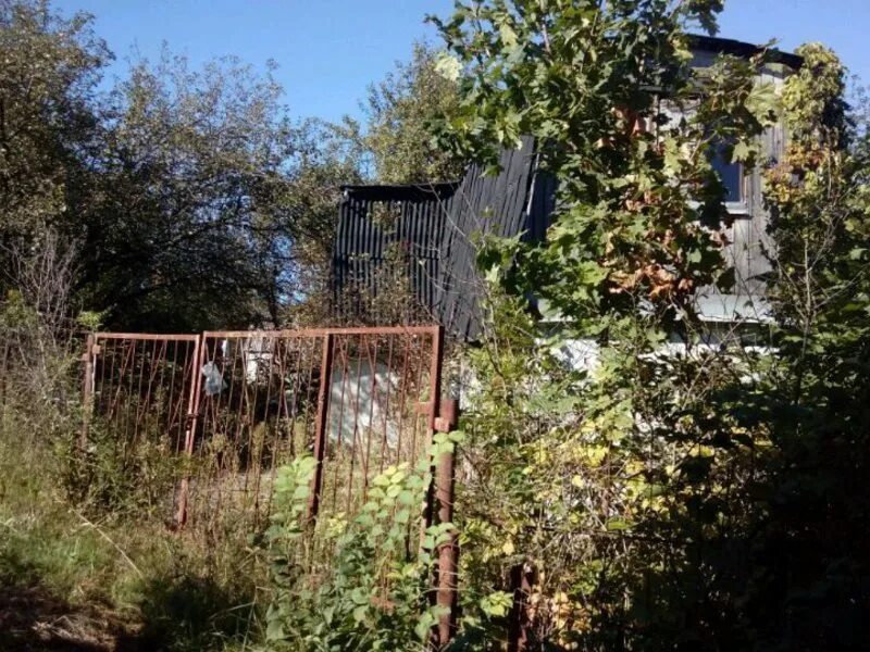 Дача чертовицы воронеж. Снт чертовицы воронеж. Дача чертовицы воронеж. Чертовицы воронеж. Дача чертовицы воронеж.