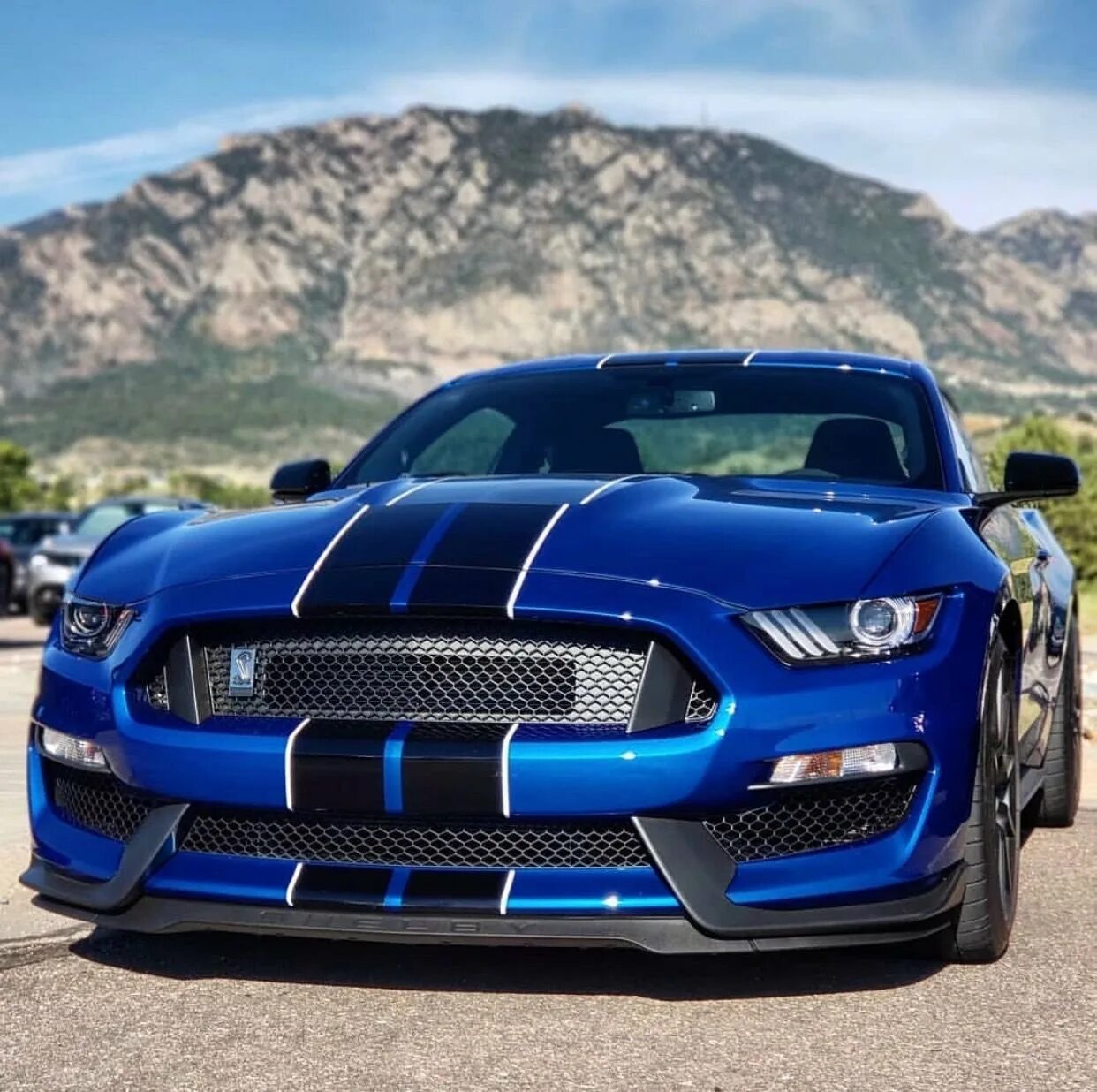 Мустанг шелби цена. Форд Мустанг gt. Ford Shelby. Мустанг Шелби. Мустанг gt 350.