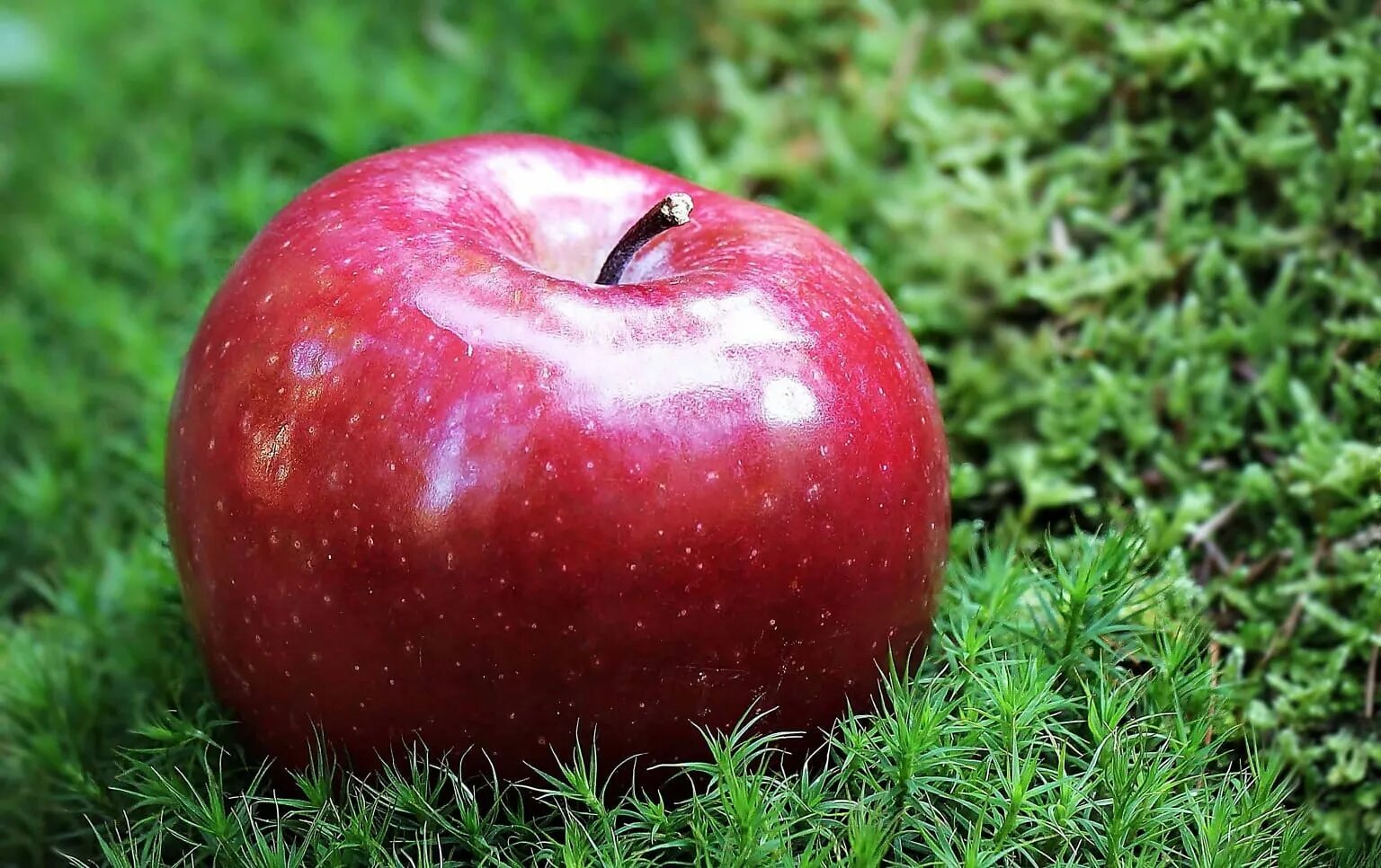 Яблоко картинка. Яблоко. Яблоки красные. Сочное яблоко. Красивое красное яблоко.