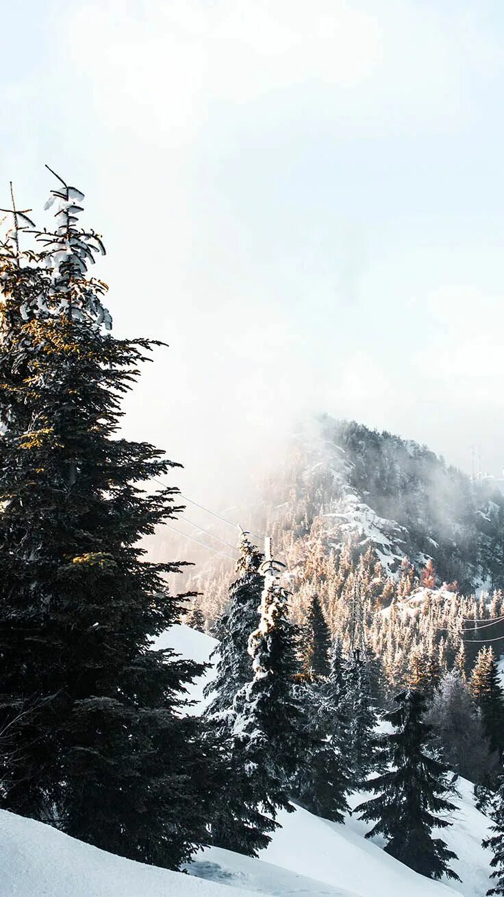 Зимние картинки. Зима фото. Зимой в лесу. Заставки на телефон зима ночь. Winter book for kids.